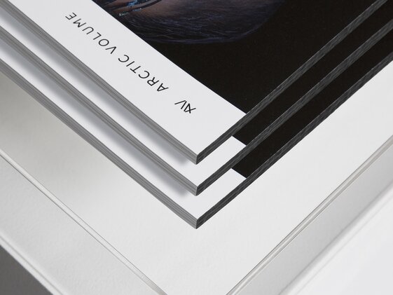Arctic_Volume_Surface_Detail
