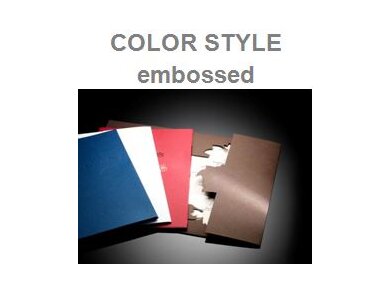 colorstyleembossed