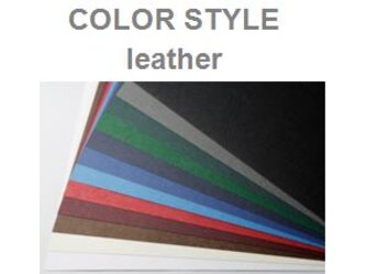 colorstyleleather_end