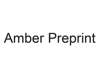 Amber Preprint