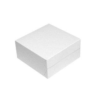 Dortová krabice 28 x 28 x 10 cm 50 ks Papírové tácky 11 x 17 cm č.3 100 ks