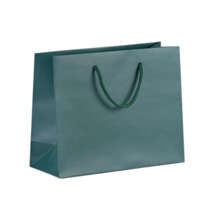 Luxusní dárková papírová taška, zelená 250 x 100 x 200 mm