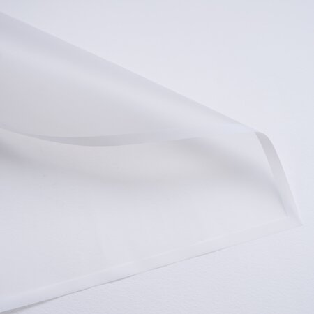 AdobeStock_262751542