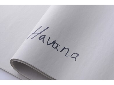 Havana popis