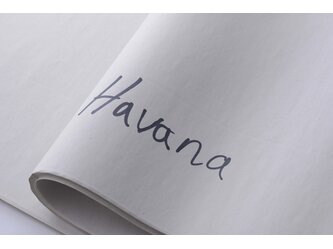 Havana popis