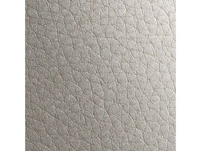 Leather-silver-1