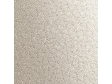 Leather-coin-1