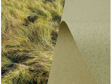 SH_recycling_grass_inspiration