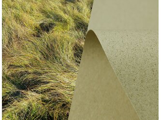 SH_recycling_grass_inspiration