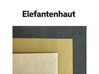 range_elefantenhaut