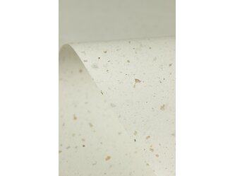 kaffee_recycling_large6
