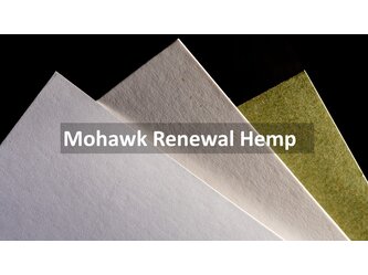 Logo Mohawk Renewal