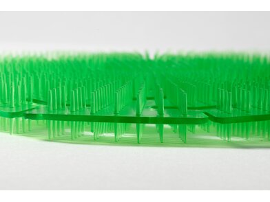 3D Premium - Green Apple 2