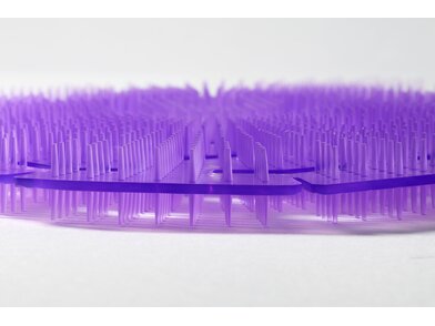 3D Premium - Lavender Dream 2