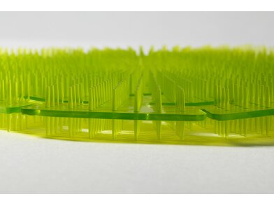 3D Premium - Lemon Grass 2