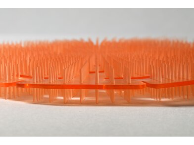 3D Premium - Mango Papaya 2