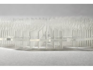 3D Premium - Pine Tree 2