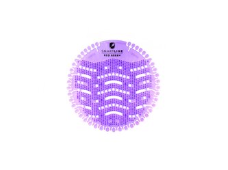 Basic - Lavender Dream 1