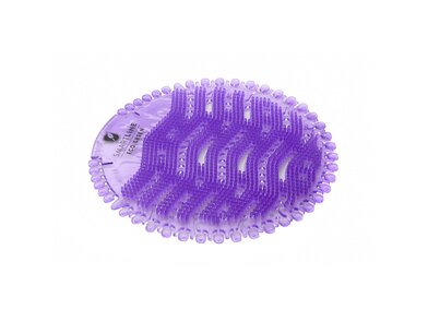 Basic - Lavender Dream 2