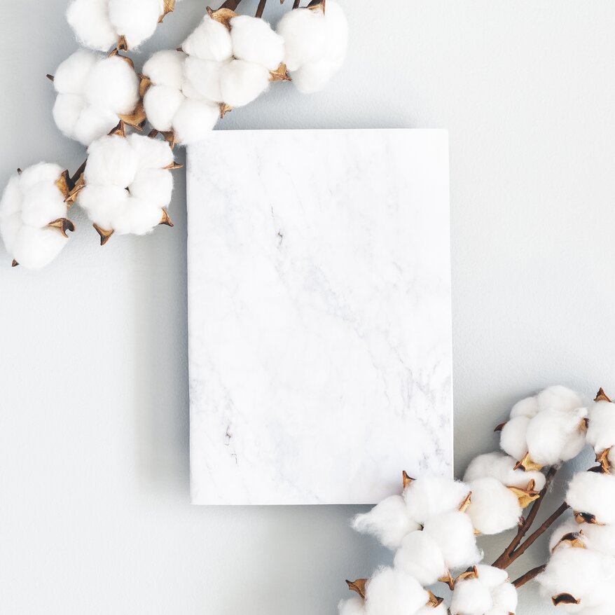 AdobeStock_273621223