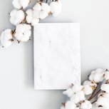 AdobeStock_273621223