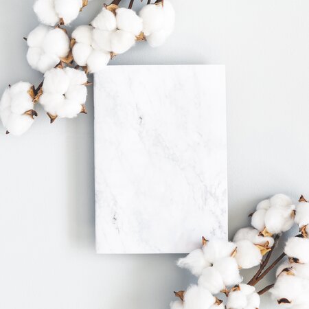 AdobeStock_273621223